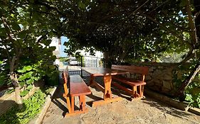 Apartmani Trlaja